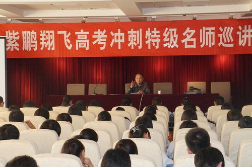 天津市紫鵬翔飛教育信息咨詢服務介紹